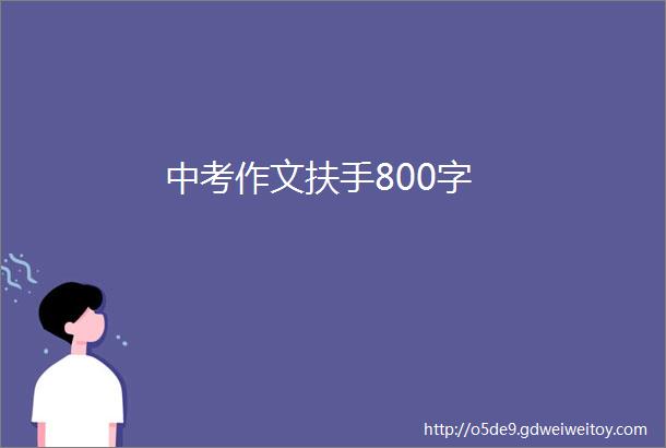 中考作文扶手800字